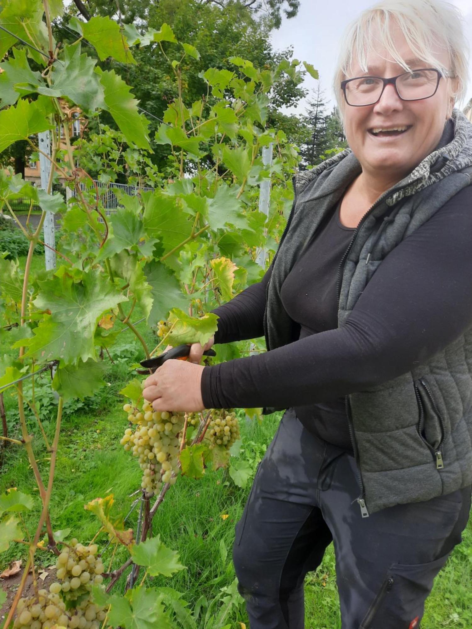 Ferienwohnung Weingut Lahmer August Kretzschau المظهر الخارجي الصورة