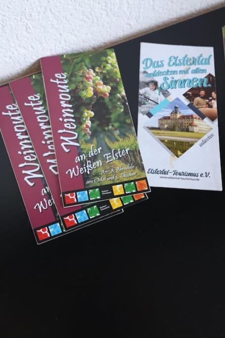 Ferienwohnung Weingut Lahmer August Kretzschau المظهر الخارجي الصورة